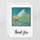 Search for egrets cards Beach