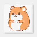 Search for rodents magnets Hamster