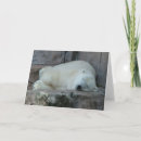 Search for zoo christmas cards Nature