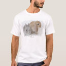 Search for lop tshirts Rabbit