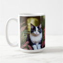 Search for ragdoll mugs Fluffy