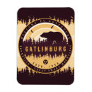 Search for gatlinburg magnets Great smoky mountains