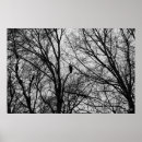 Search for bird on branch silhouette posters Tree