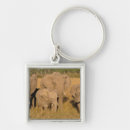 Search for elephant baby key rings Wild