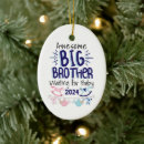 Search for baby second christmas Big brother