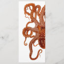 Search for octopus illustration postcards Monster