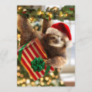 Search for sloth christmas invitations Humour
