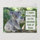 Search for really postcards Animal