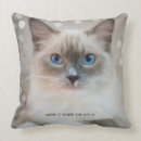 Search for ragdoll cat cushions Cute