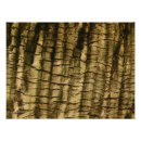 Search for tree bark art Forest