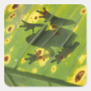 Search for animal silhouette stickers Amphibian