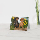 Search for dachsie cards Puppy