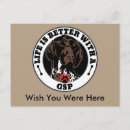 Search for german shorthaired pointers postcards Gsp