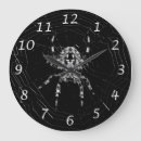 Search for spider web clocks Insect