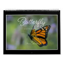Search for butterfly calendars Butterflies