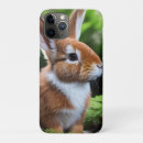 Search for sweet brown iphone cases Pet