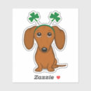 Search for shamrock cases Shamrocks