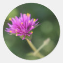 Search for floral nature stickers Summer