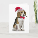 Search for santa beagle christmas cards Pet
