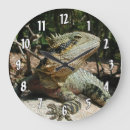 Search for australian animal clocks Wildlife