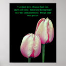 Search for pink tulip posters Nature