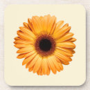 Search for gerbera daisies coasters Nature