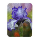 Search for purple iris magnets White