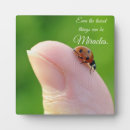 Search for insect plaques Nature