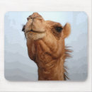 Search for camel mousepads Animals