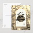 Search for happy bat postcards Spider