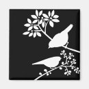Search for white birds magnets Animals
