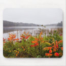 Search for rapids mousepads Fall