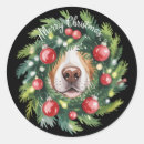 Search for dog nose stickers Snow