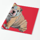 Search for english bulldog wrapping paper Pattern