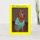 Search for veterinary nurse cards Dog