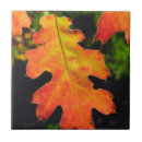 Search for oak leaf tiles Botanical