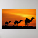 Search for camel art Landscape