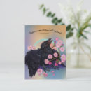 Search for fledgling postcards Bird