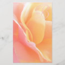 Search for yellow rose stationery paper Pink