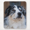 Search for shepard mousepads Animals