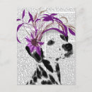 Search for fascinating postcards Fascinator