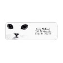 Search for black kittens return address labels Pets