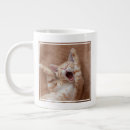 Search for baby cats mugs Orange cat