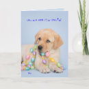 Search for labrador easter cards Puppy