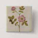 Search for rosa badges Botanical
