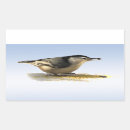Search for nuthatch stickers Animals