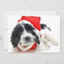 Search for black santa cards Dog