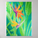 Search for panama posters Watercolor