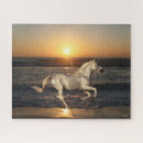Search for sea horse puzzles Running