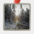 Search for dirt christmas tree decorations Horizontal